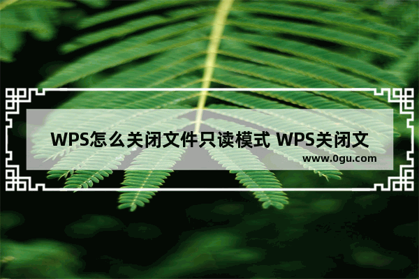 WPS怎么关闭文件只读模式 WPS关闭文件只读模式方法