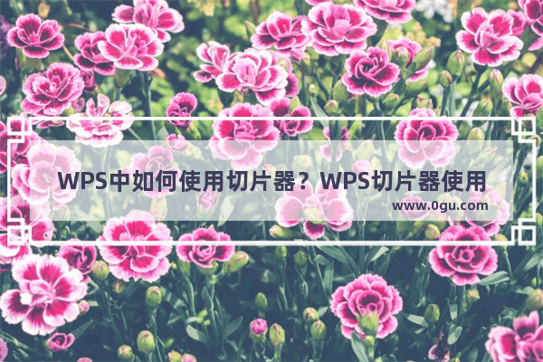 WPS中如何使用切片器？WPS切片器使用方法