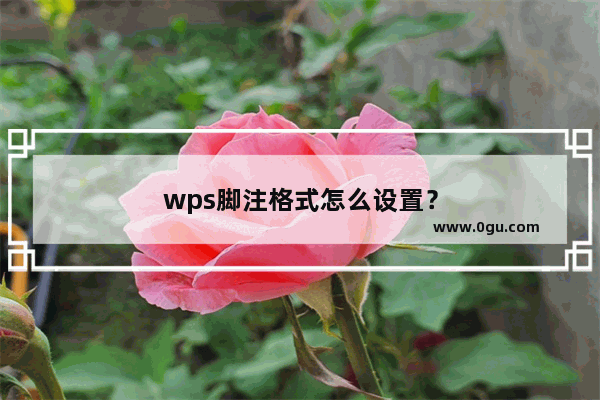 wps脚注格式怎么设置？