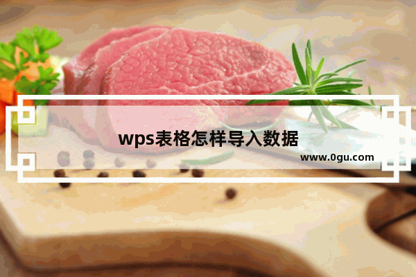 wps表格怎样导入数据