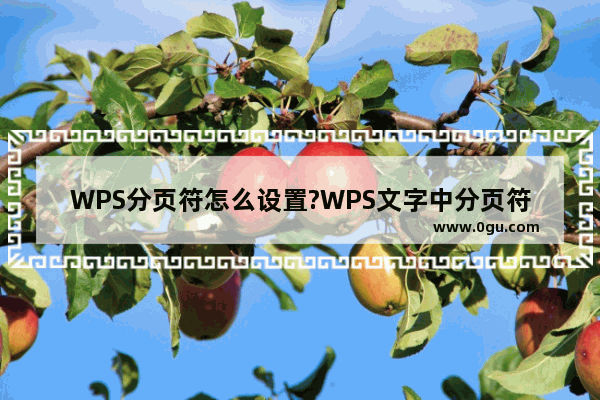 WPS分页符怎么设置?WPS文字中分页符强大的功效