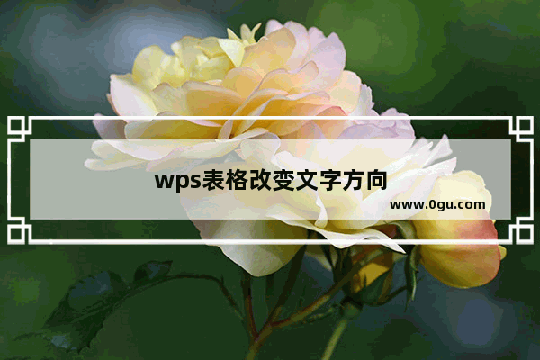 wps表格改变文字方向