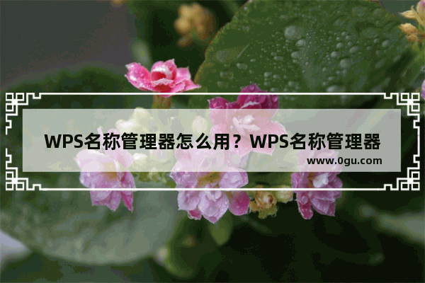 WPS名称管理器怎么用？WPS名称管理器的使用技巧