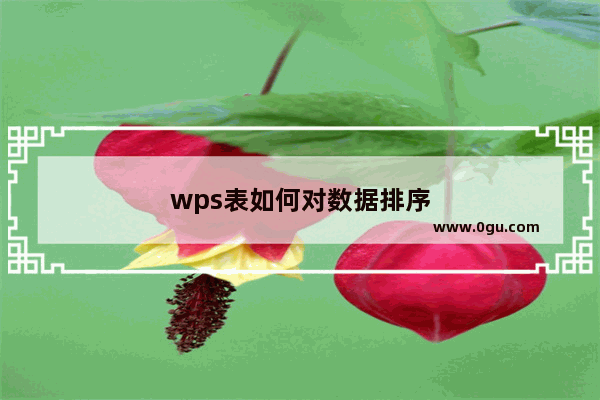 wps表如何对数据排序