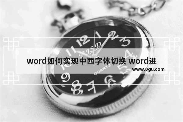 word如何实现中西字体切换 word进行中文字体和西文字体切换的方法