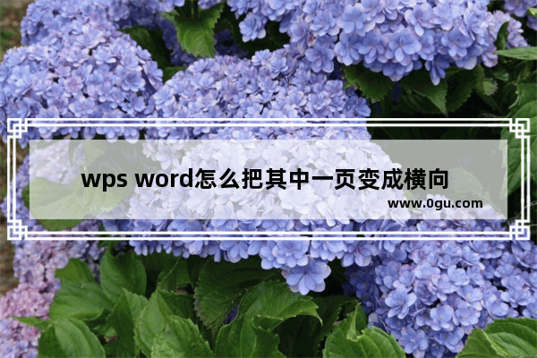 wps word怎么把其中一页变成横向 WPS word把其中一页变成横向的方法