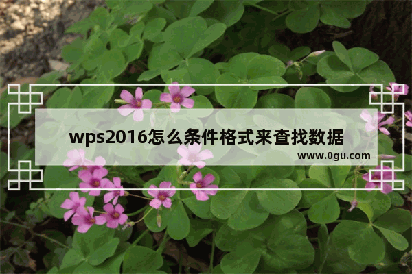 wps2016怎么条件格式来查找数据