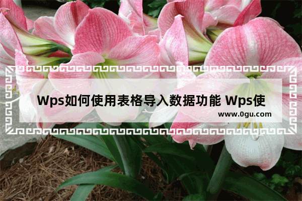 Wps如何使用表格导入数据功能 Wps使用表格导入数据功能的方法