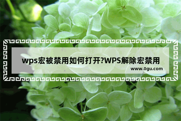 wps宏被禁用如何打开?WPS解除宏禁用的方法教程