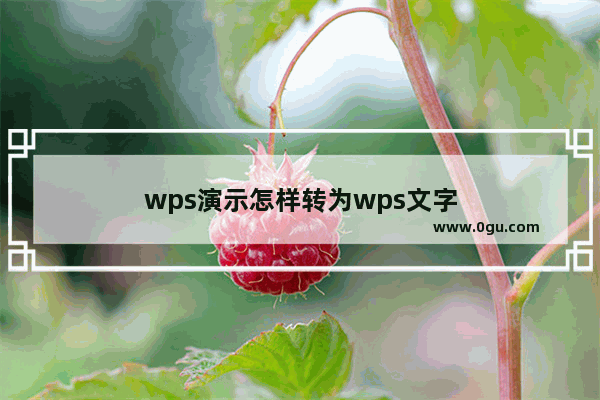 wps演示怎样转为wps文字