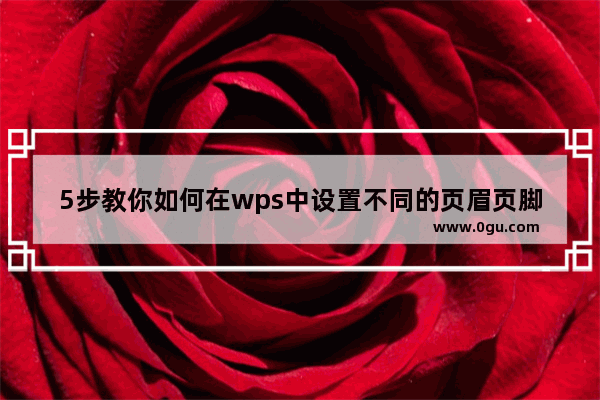 5步教你如何在wps中设置不同的页眉页脚