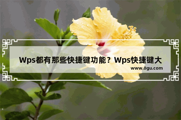 Wps都有那些快捷键功能？Wps快捷键大全