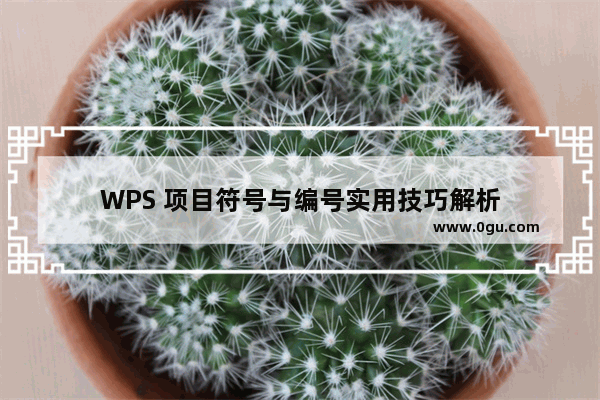 WPS 项目符号与编号实用技巧解析