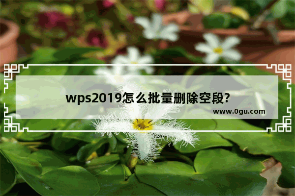 wps2019怎么批量删除空段?