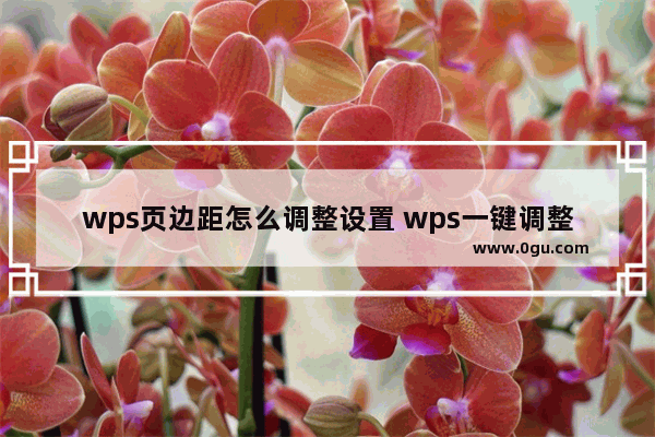 wps页边距怎么调整设置 wps一键调整页边距方法教程