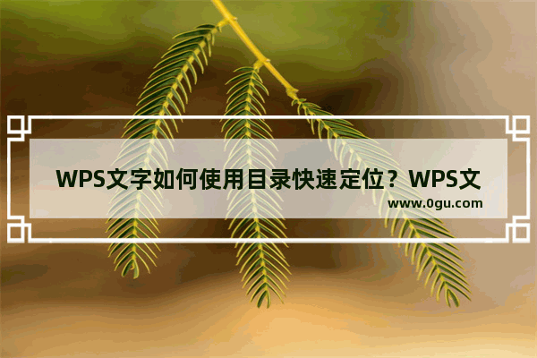 WPS文字如何使用目录快速定位？WPS文字用目录快速定位的方法教程