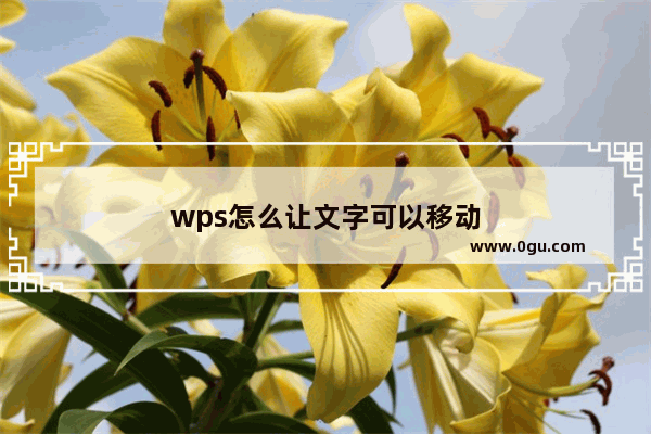 wps怎么让文字可以移动