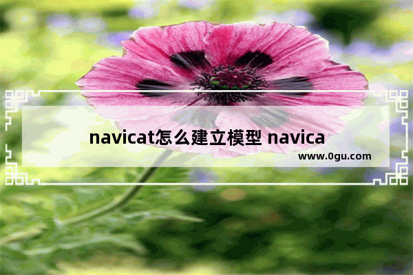 navicat怎么建立模型 navicat新建模型的方法