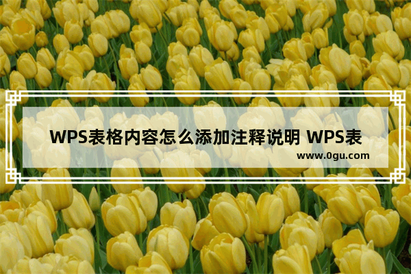 WPS表格内容怎么添加注释说明 WPS表格内容添加注释说明的方法教学