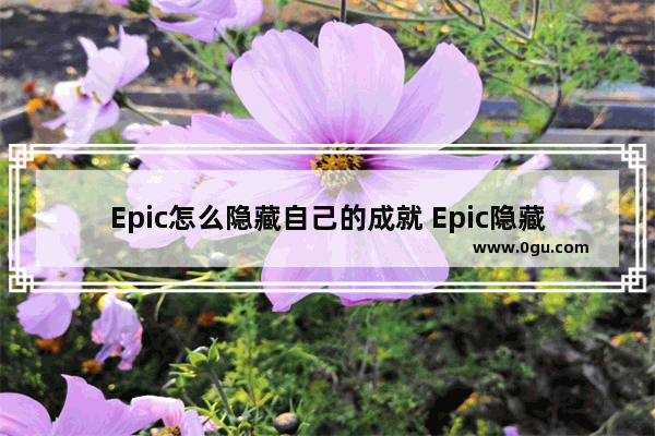 Epic怎么隐藏自己的成就 Epic隐藏自己的成就的方法