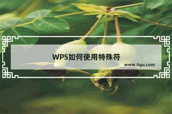 WPS如何使用特殊符