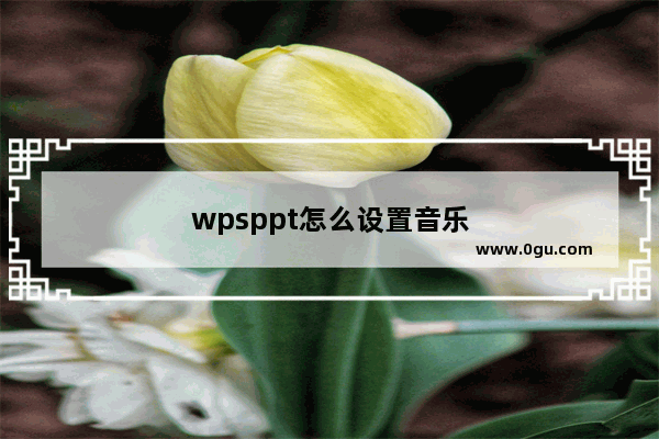 wpsppt怎么设置音乐