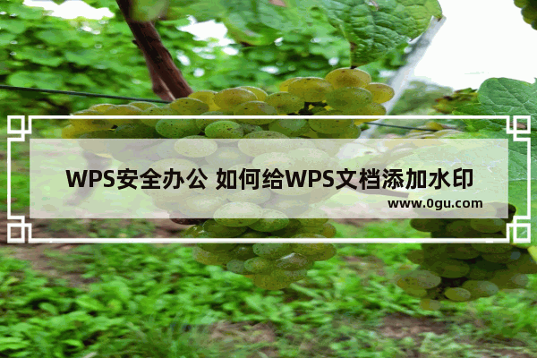 WPS安全办公 如何给WPS文档添加水印