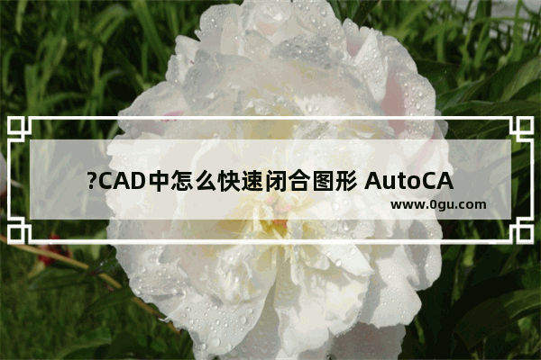 ?CAD中怎么快速闭合图形 AutoCAD中将图形或者线条闭合的方法教程