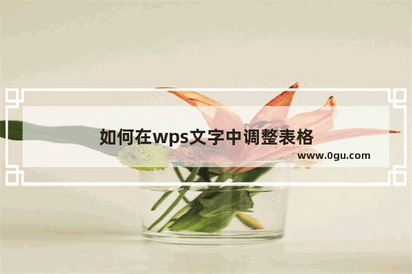 如何在wps文字中调整表格