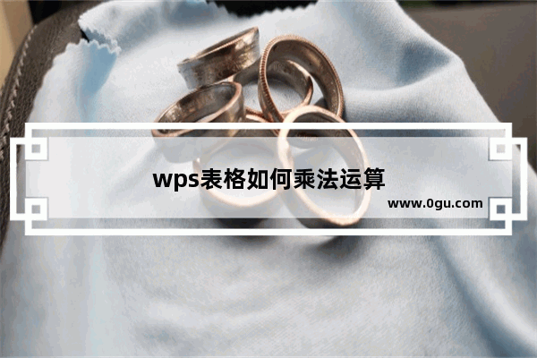 wps表格如何乘法运算