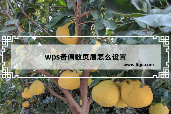 wps奇偶数页眉怎么设置