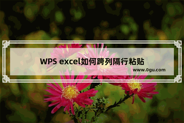 WPS excel如何跨列隔行粘贴