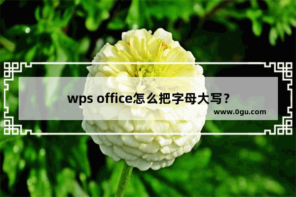 wps office怎么把字母大写？