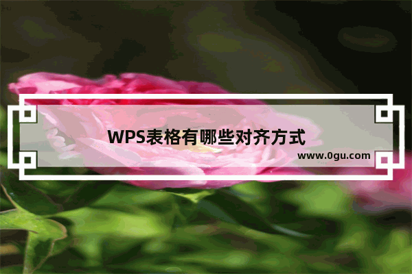 WPS表格有哪些对齐方式