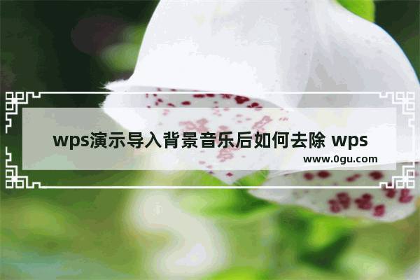 wps演示导入背景音乐后如何去除 wps演示删除背景音乐的方法