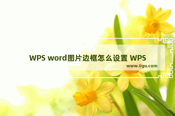 WPS word图片边框怎么设置 WPS word给图片添加边框的方法