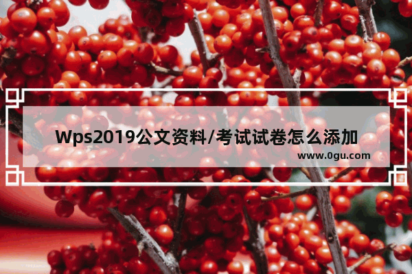 Wps2019公文资料/考试试卷怎么添加装订线?