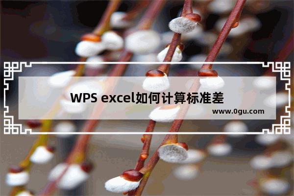 WPS excel如何计算标准差