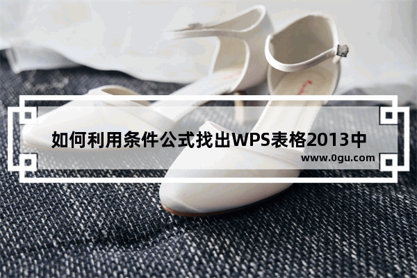 如何利用条件公式找出WPS表格2013中的双重重复项