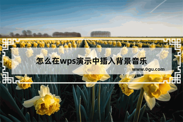 怎么在wps演示中插入背景音乐