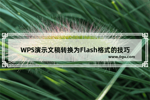 WPS演示文稿转换为Flash格式的技巧