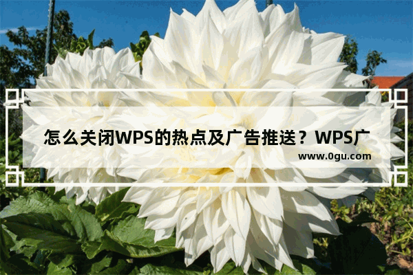 怎么关闭WPS的热点及广告推送？WPS广告永久关闭方法