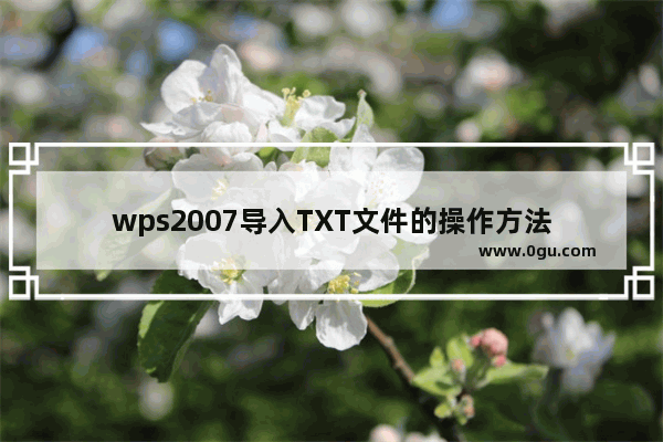 wps2007导入TXT文件的操作方法