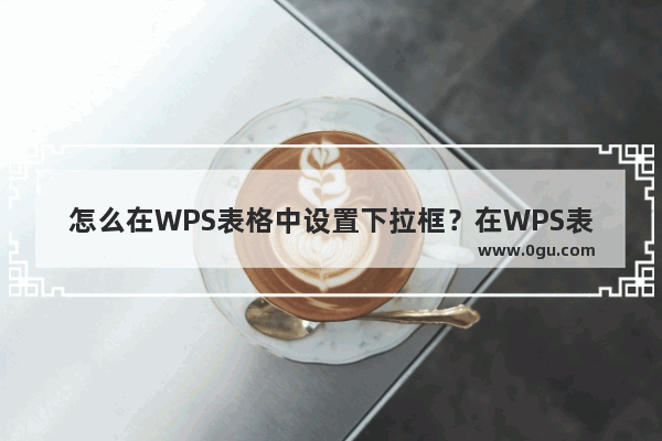 怎么在WPS表格中设置下拉框？在WPS表格设置下拉框的教程