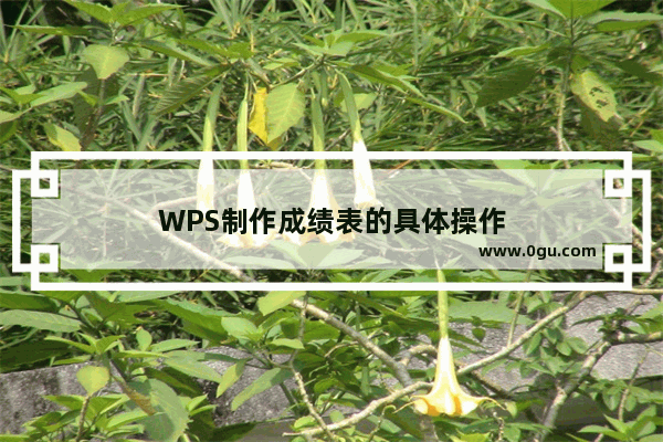 WPS制作成绩表的具体操作