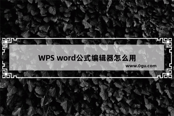 WPS word公式编辑器怎么用