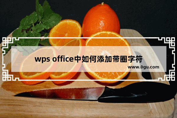 wps office中如何添加带圈字符