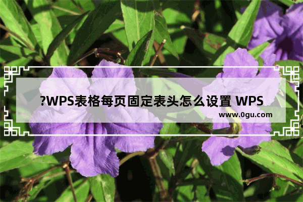 ?WPS表格每页固定表头怎么设置 WPS Excel每页都显示表头题目的方法教程