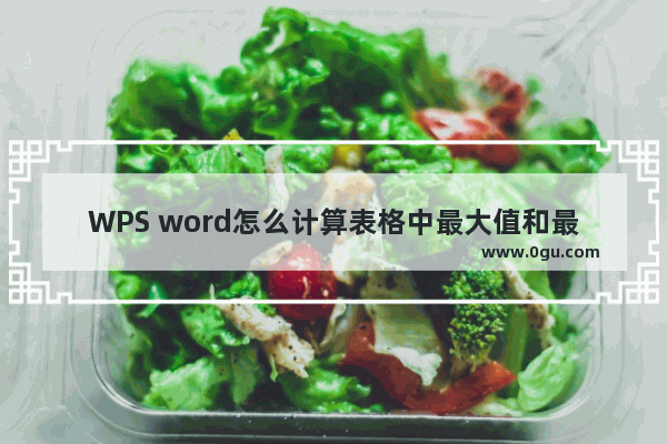 WPS word怎么计算表格中最大值和最小值 WPS Word中快速求最大值和最小值的方法