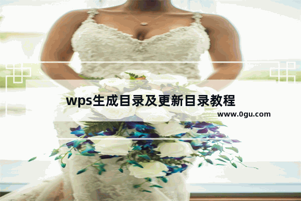 wps生成目录及更新目录教程